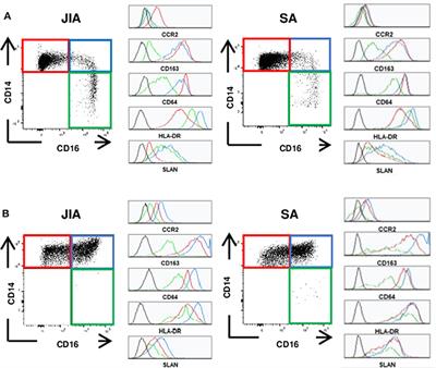 Differential Accumulation and Activation of Monocyte and Dendritic Cell Subsets in Inflamed Synovial Fluid Discriminates Between Juvenile Idiopathic Arthritis and Septic Arthritis